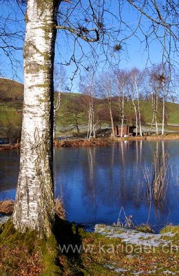 Weiher / Pond (9903)