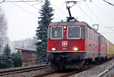 Zug / Train (8418)