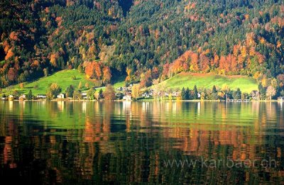 Herbst am See (7239)