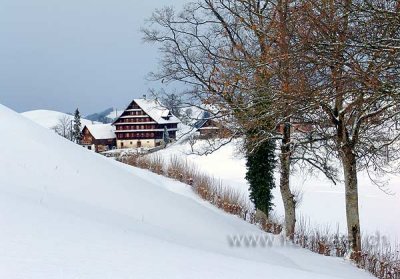 Schwand (01344)