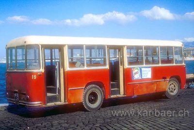 Bus (30)