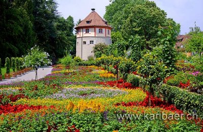 Insel Mainau / Isle of Mainau