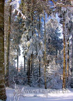 Ochsenwald (02173)