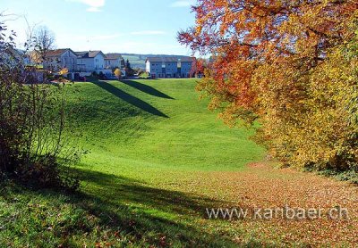 Sonnenberg (00671)