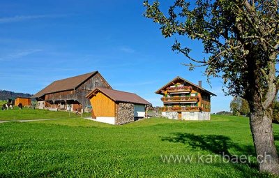 Bauernhof / Farm (60387)