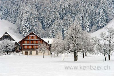 Bauernhof im Winter (72328)