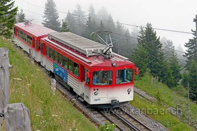 Rigibahn (77173)