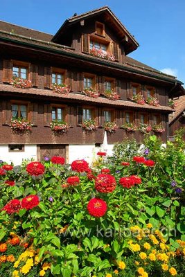 Garten mit Blumen (78279)