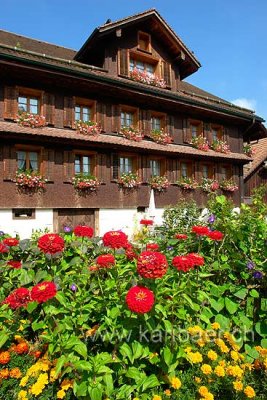 Garten mit Blumen (78279)