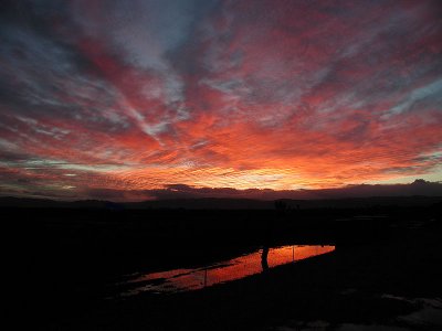 Sunset at the Duck Club