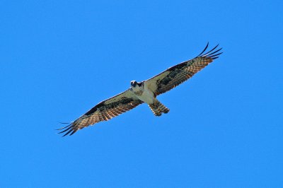 g6/21/479321/3/82189252.PpDHJKJP.jpg