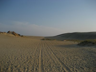 IMG_1268.JPG