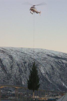 Flying in the Christmas tree.jpg