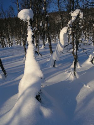 Winter's own sculpturing.jpg