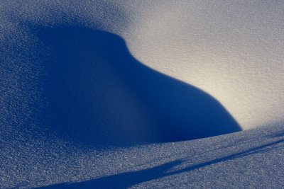 Sensual curves in snow.jpg