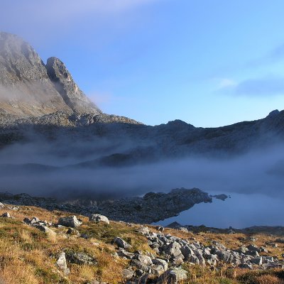 Fog on the lake.jpg