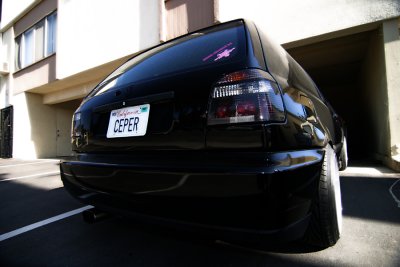 IMG_5009s.jpg