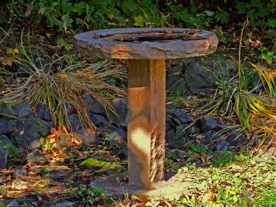 Bird bath on an Autumn afternoon