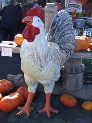 Harvest chicken