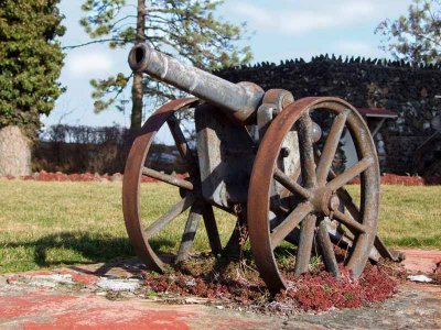 Cannon