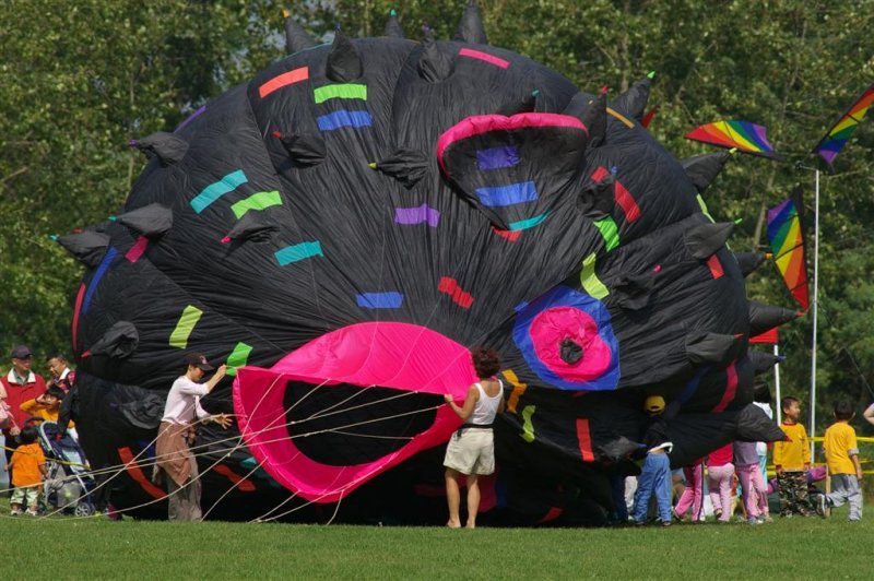 kite fest 06 IMGP0493 (Large).JPG
