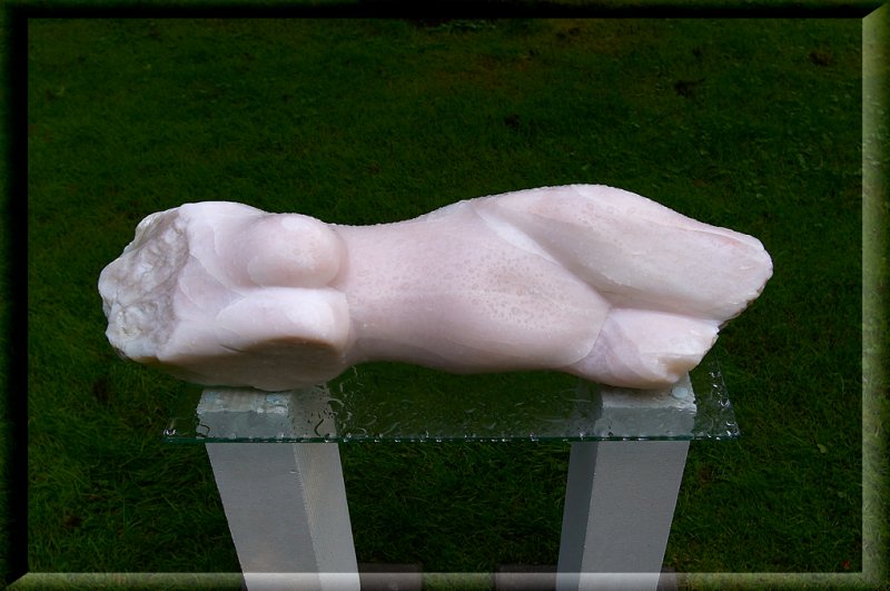Torso