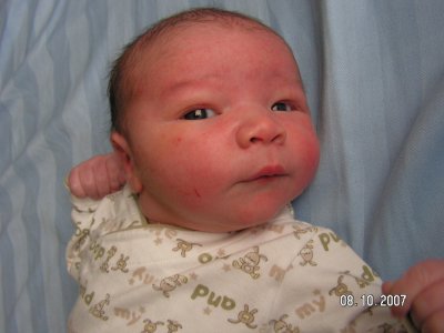 Eloi0043.JPG