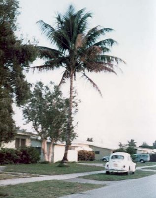 Late 1960s - 5691, 5661, 5631 and 5601 W. 9th Lane, Hialeah