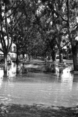 1947 - Miami Springs residential street after the Flood of 1947 caused by Hurricane VI