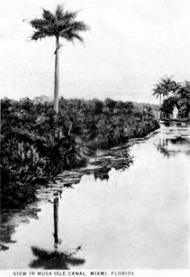 1910s - Postcard of the Musa Isle Canal off of the Miami River