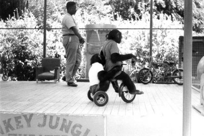 1963 - Monkeys performing on a tricycle at the Monkey Jungle