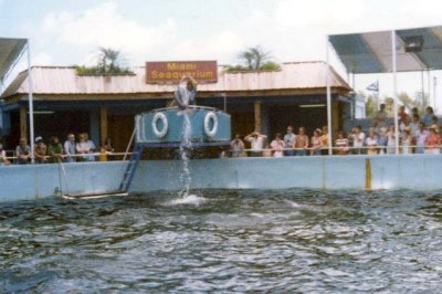 1970's - the Miami Seaquarium
