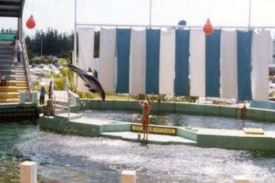 1970s - the Miami Seaquarium