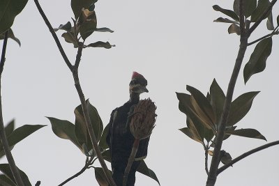 CRW_5497.jpg