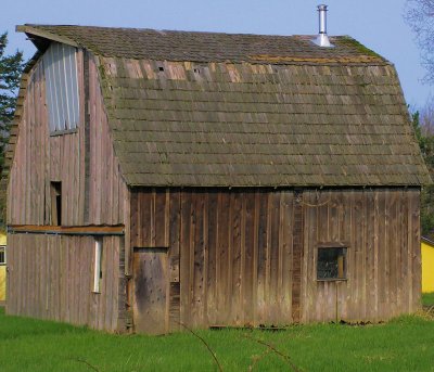 Lynden 1