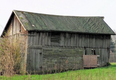 Lynden 2