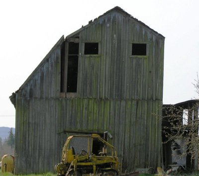 Lynden 3