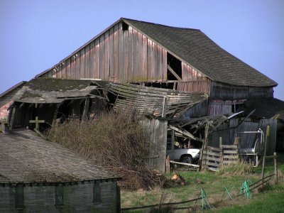 Lynden 4