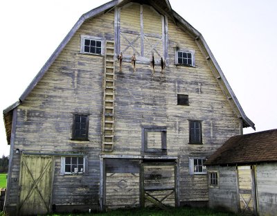Lynden 5