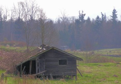 Lynden 6
