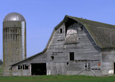 Lynden 7