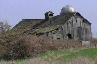 Lynden 8