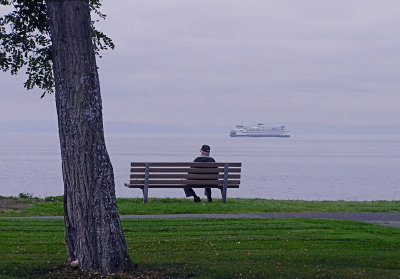 Watching the world go by