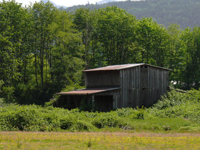 Skagit County Barn