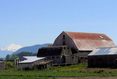 Skagit County Barn
