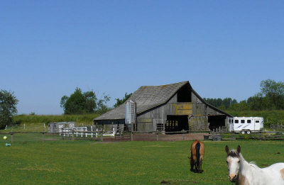Skagit County Barn