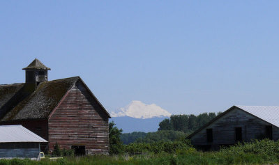 Skagit County Barn
