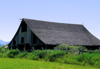 Skagit County Barn