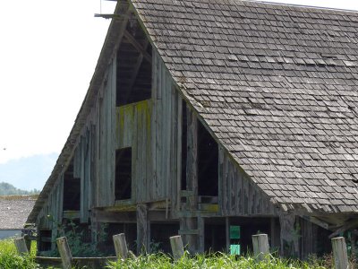 Skagit County Barn