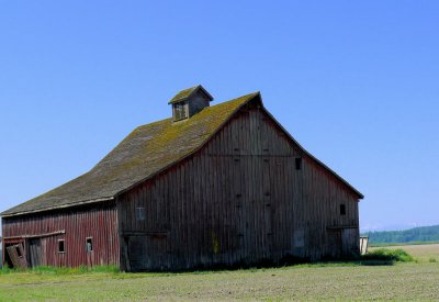 Skagit County Barn